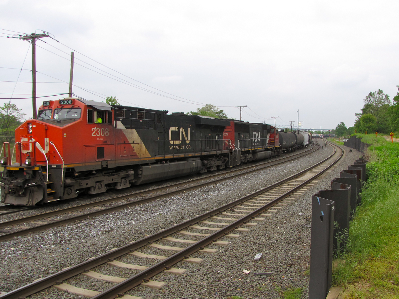 CN 2308 and 5629